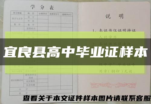宜良县高中毕业证样本缩略图