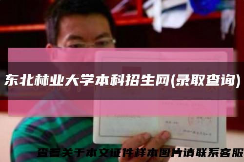 东北林业大学本科招生网(录取查询)缩略图