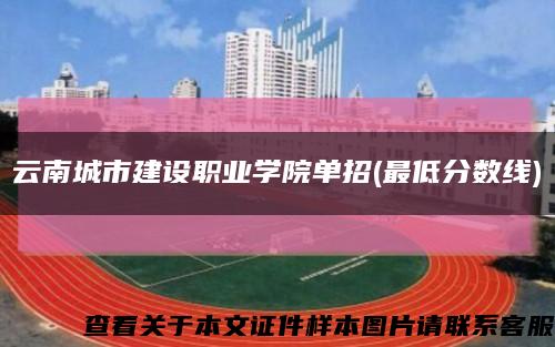 云南城市建设职业学院单招(最低分数线)缩略图
