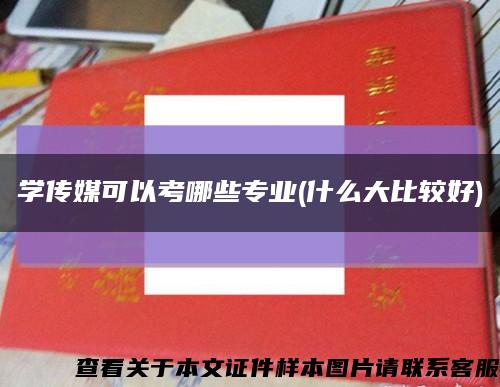 学传媒可以考哪些专业(什么大比较好)缩略图