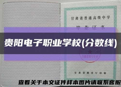 贵阳电子职业学校(分数线)缩略图