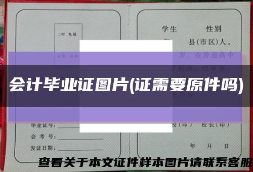 会计毕业证图片(证需要原件吗)缩略图