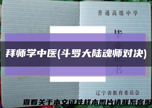 拜师学中医(斗罗大陆魂师对决)缩略图