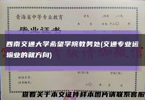 西南交通大学希望学院教务处(交通专业运输业的就方向)缩略图