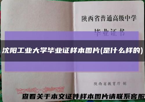 沈阳工业大学毕业证样本图片(是什么样的)缩略图