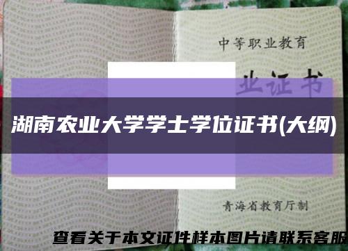 湖南农业大学学士学位证书(大纲)缩略图