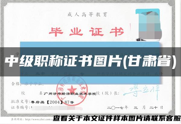中级职称证书图片(甘肃省)缩略图