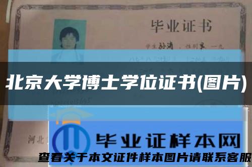 北京大学博士学位证书(图片)缩略图