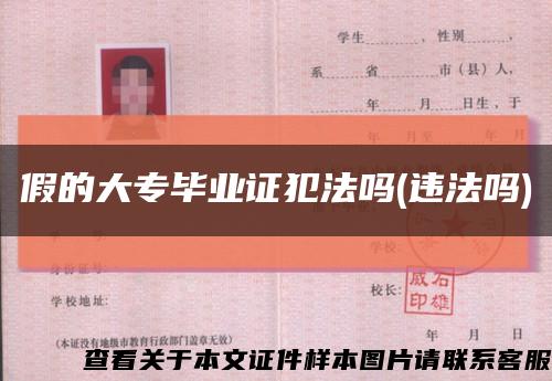 假的大专毕业证犯法吗(违法吗)缩略图
