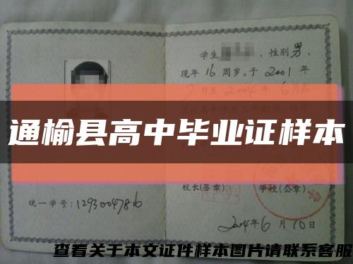 通榆县高中毕业证样本缩略图