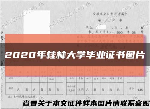 2020年桂林大学毕业证书图片缩略图