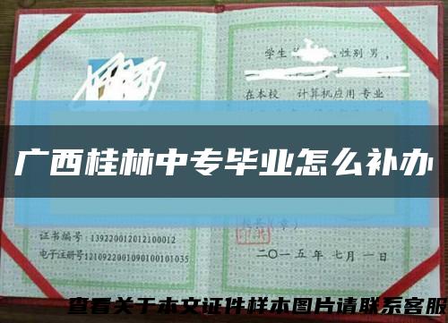 广西桂林中专毕业怎么补办缩略图