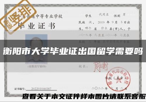 衡阳市大学毕业证出国留学需要吗缩略图