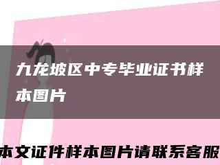 九龙坡区中专毕业证书样本图片缩略图