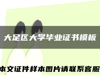 大足区大学毕业证书模板缩略图