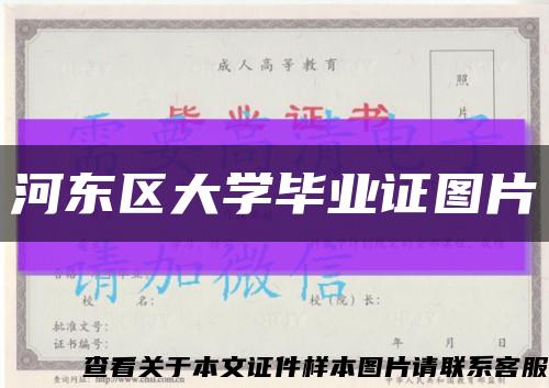 河东区大学毕业证图片缩略图
