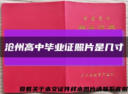 沧州高中毕业证照片是几寸缩略图