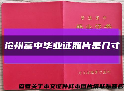 沧州高中毕业证照片是几寸缩略图