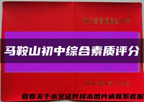 马鞍山初中综合素质评分缩略图