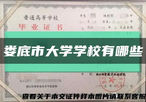 娄底市大学学校有哪些缩略图