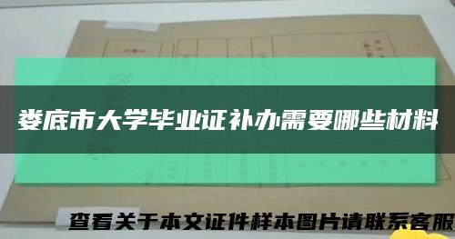 娄底市大学毕业证补办需要哪些材料缩略图