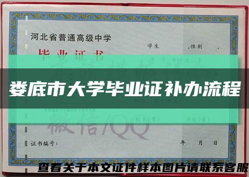 娄底市大学毕业证补办流程缩略图