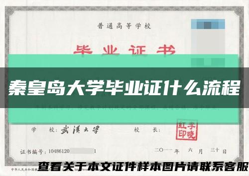 秦皇岛大学毕业证什么流程缩略图