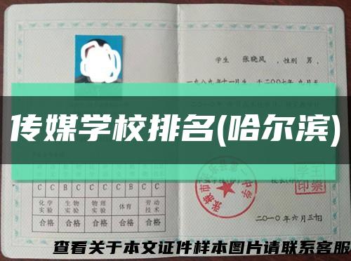 传媒学校排名(哈尔滨)缩略图