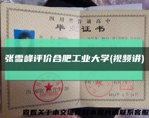 张雪峰评价合肥工业大学(视频讲)缩略图