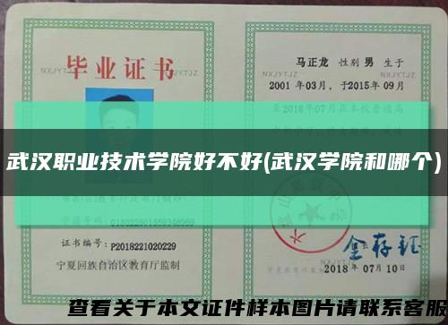 武汉职业技术学院好不好(武汉学院和哪个)缩略图