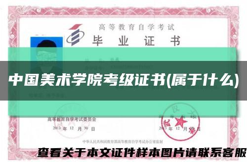 中国美术学院考级证书(属于什么)缩略图