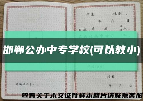 邯郸公办中专学校(可以教小)缩略图