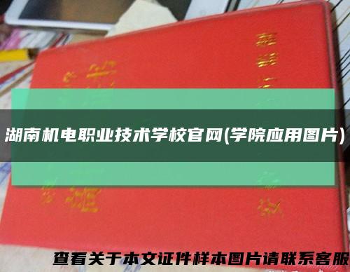 湖南机电职业技术学校官网(学院应用图片)缩略图