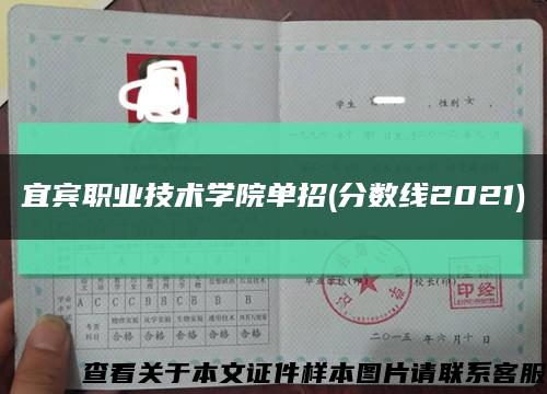 宜宾职业技术学院单招(分数线2021)缩略图