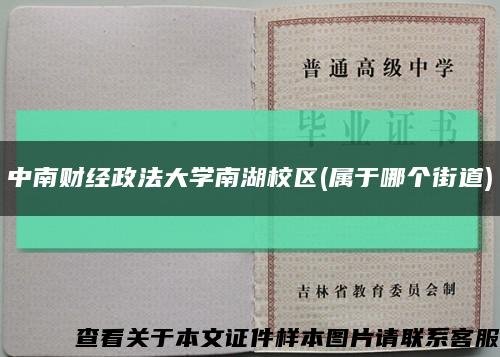 中南财经政法大学南湖校区(属于哪个街道)缩略图