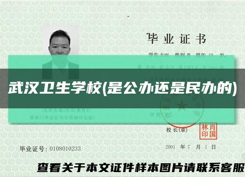 武汉卫生学校(是公办还是民办的)缩略图