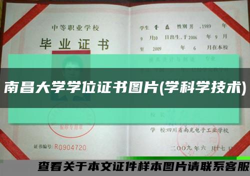 南昌大学学位证书图片(学科学技术)缩略图