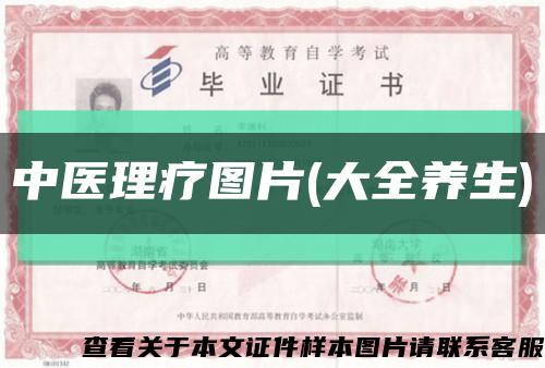 中医理疗图片(大全养生)缩略图