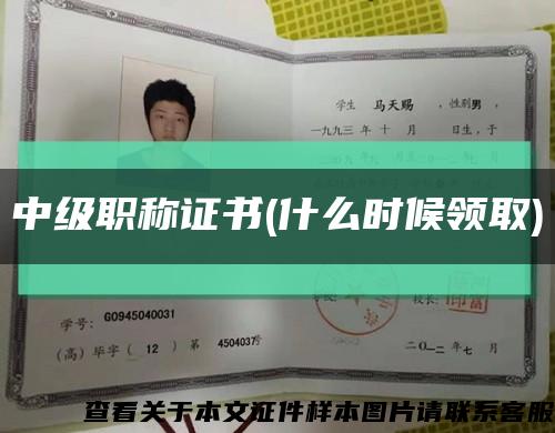 中级职称证书(什么时候领取)缩略图