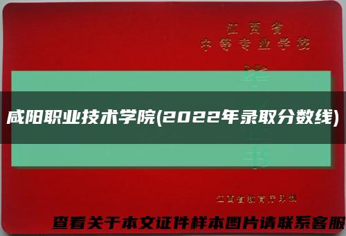 咸阳职业技术学院(2022年录取分数线)缩略图