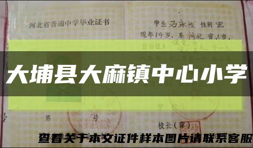 大埔县大麻镇中心小学缩略图