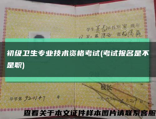 初级卫生专业技术资格考试(考试报名是不是职)缩略图