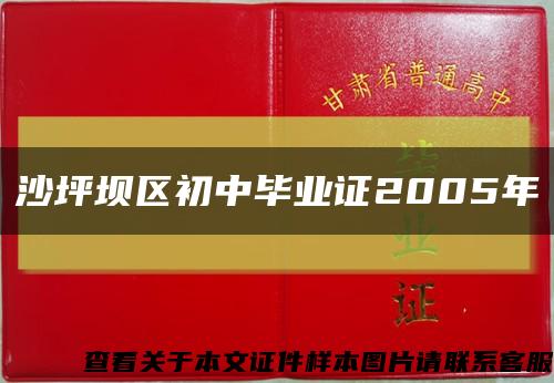 沙坪坝区初中毕业证2005年缩略图