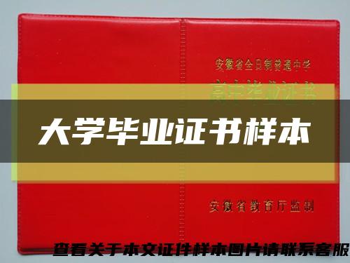 大学毕业证书样本缩略图