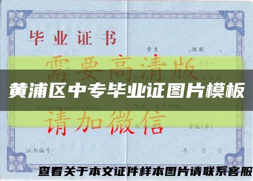 黄浦区中专毕业证图片模板缩略图