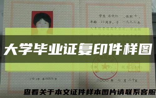 大学毕业证复印件样图缩略图