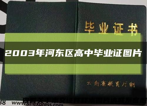 2003年河东区高中毕业证图片缩略图