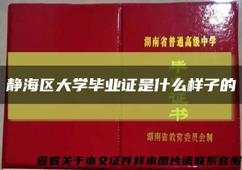 静海区大学毕业证是什么样子的缩略图