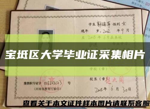 宝坻区大学毕业证采集相片缩略图