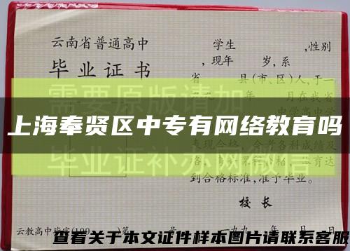 上海奉贤区中专有网络教育吗缩略图